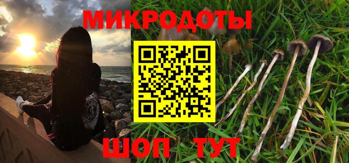 Псилоцибиновые грибы прущие грибы Шарыпово
